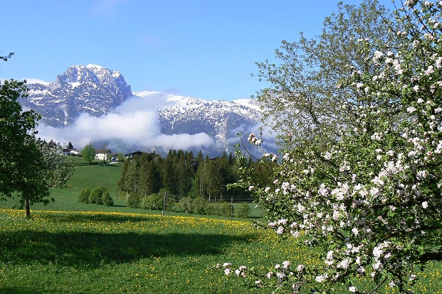 Bergwelt rund um Abtenau